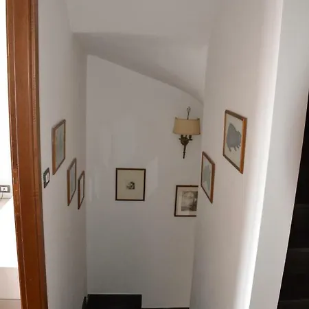 Mare Nostrum لا سبيتسْيا